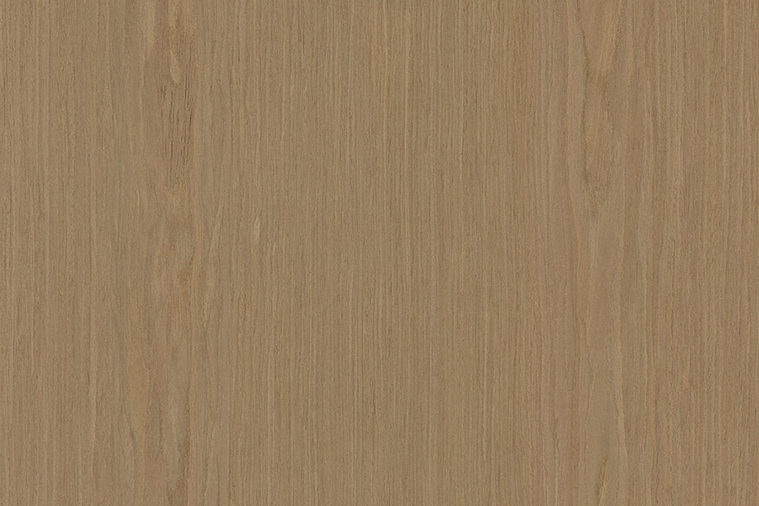 Eveneer - Almond