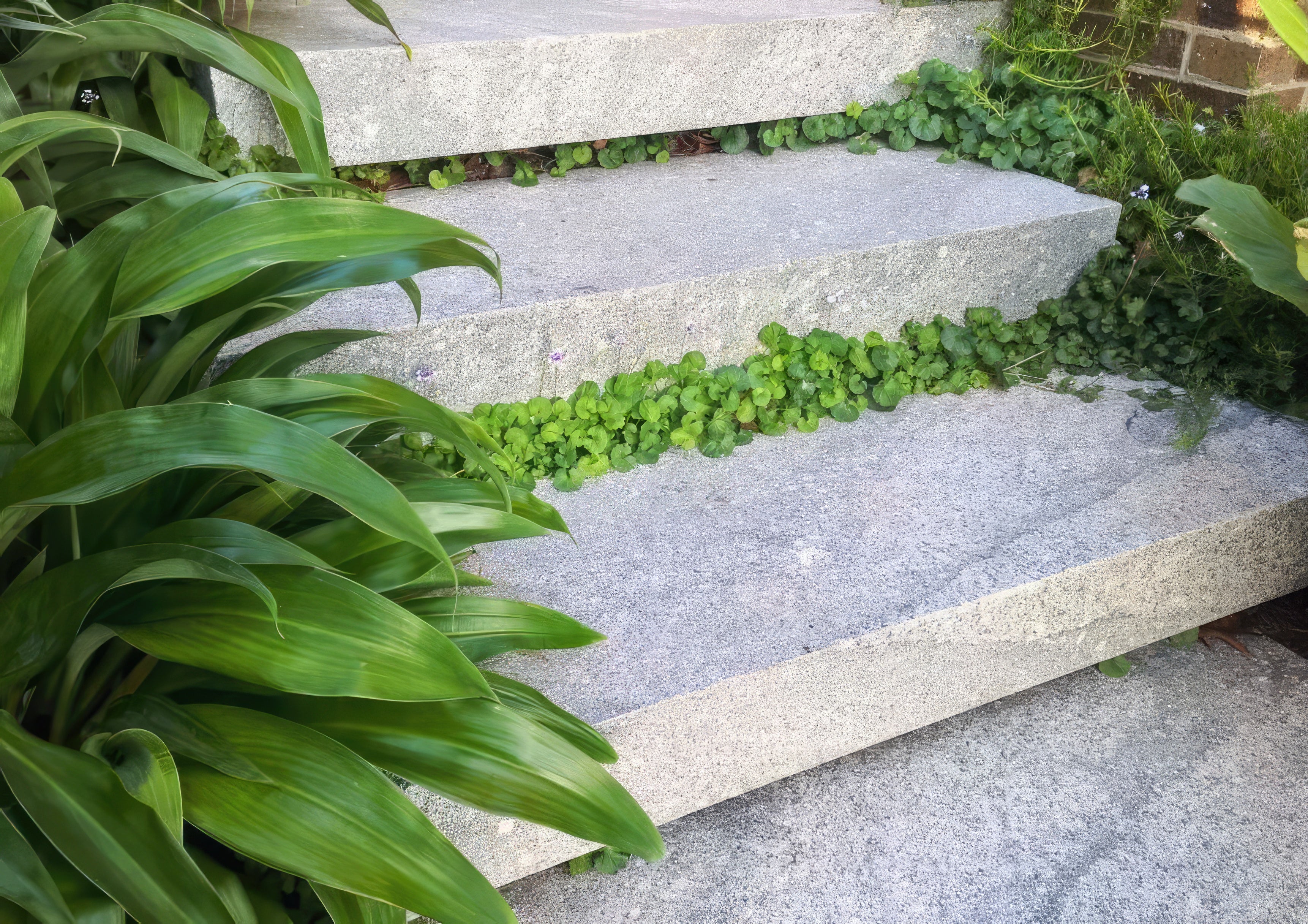 Fantasy Grey Granite