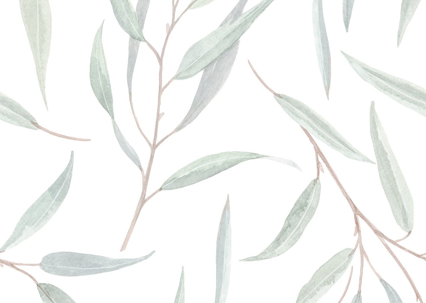 Green Eucalyptus Leaves Wallpaper sample