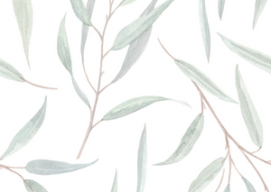Green Eucalyptus Leaves