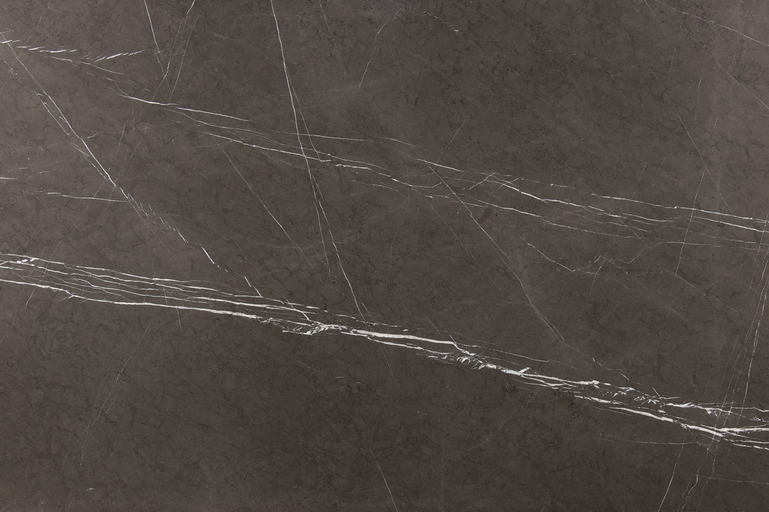 Grigio Armani Stone sample