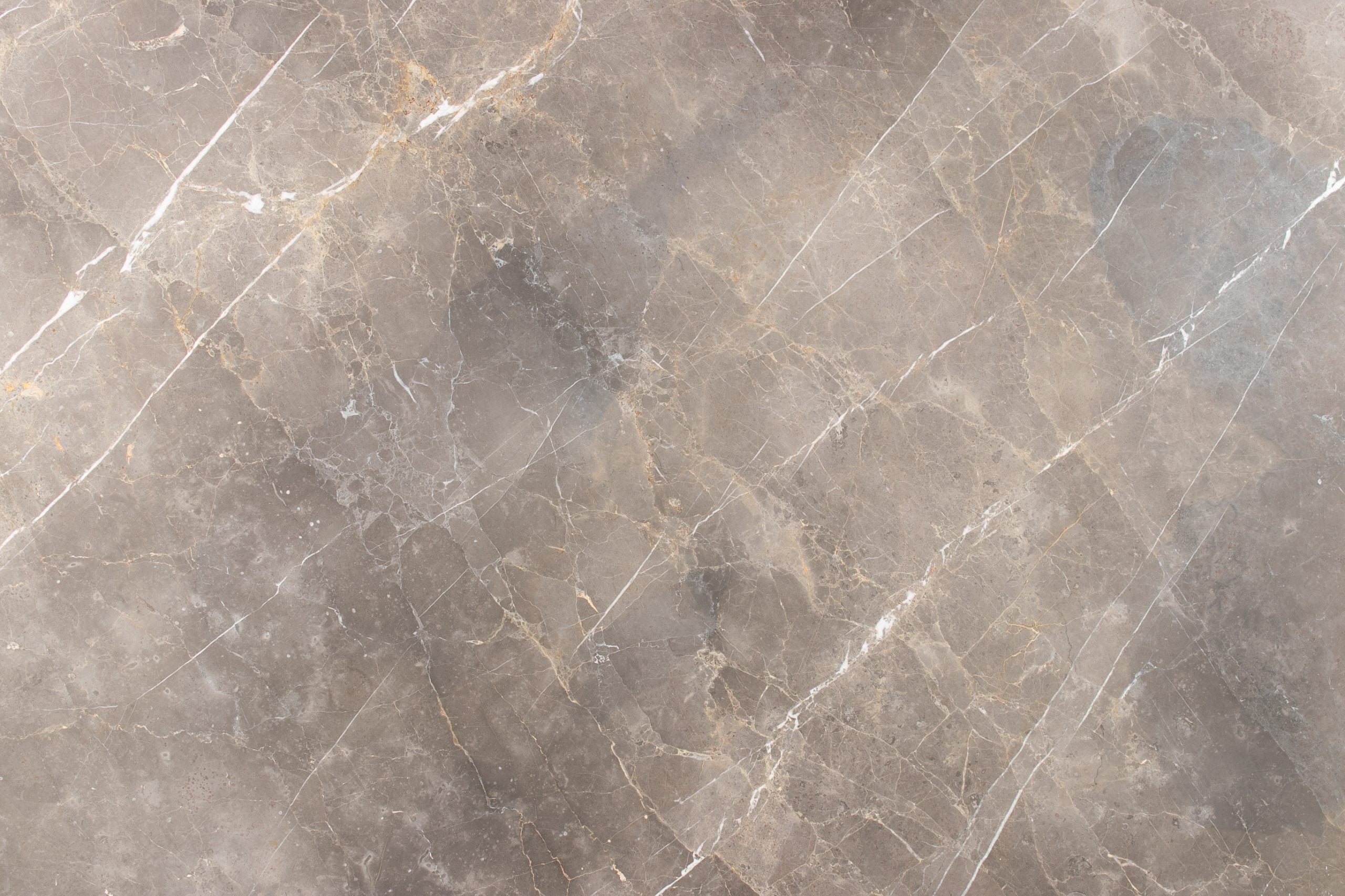 Grigio Collemandina Stone sample