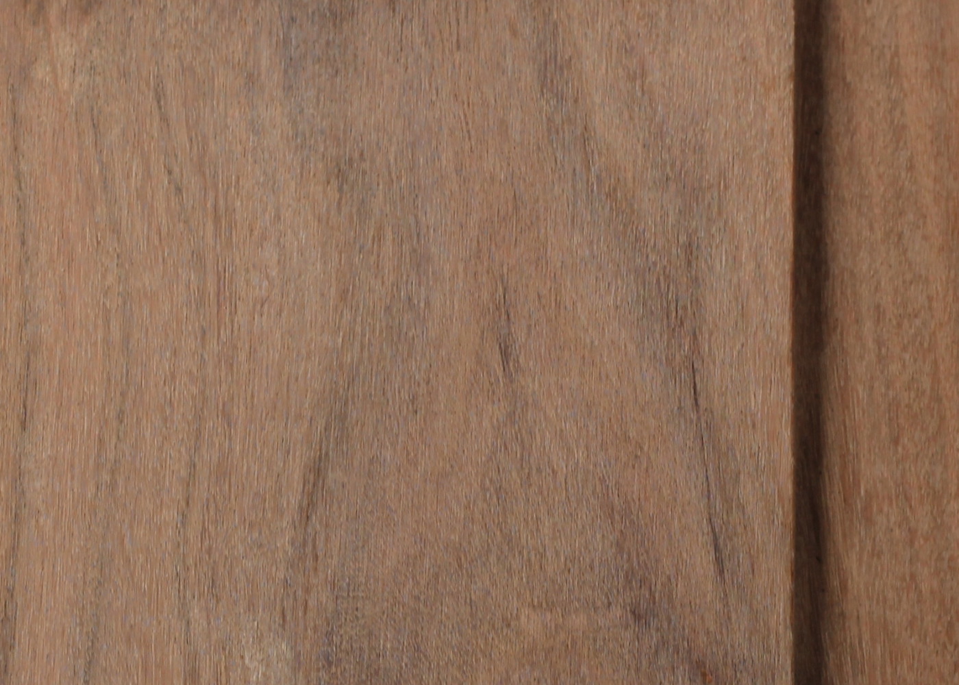 Shiplap Profile  - Spotted Gum
