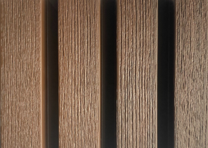 Northern Spotted Gum