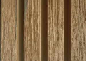Coastal Blackbutt