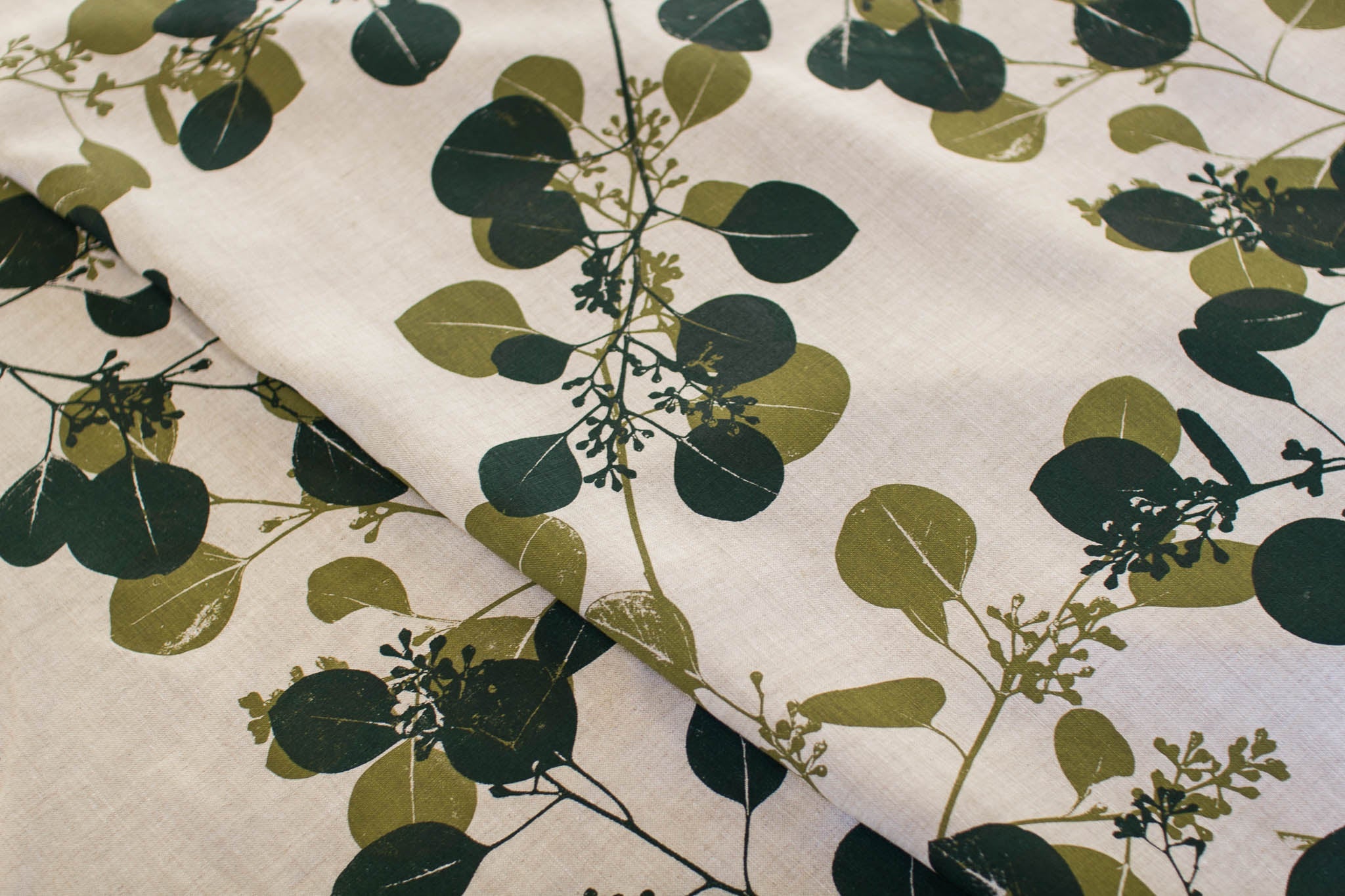 Silver Dollar Gum in Bushleaf & Rainforest