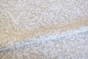 Spotted Quoll in Snow & Transparent White