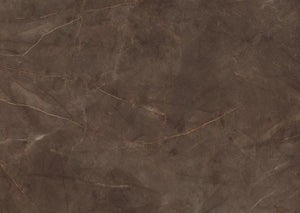 Pulpis Brown