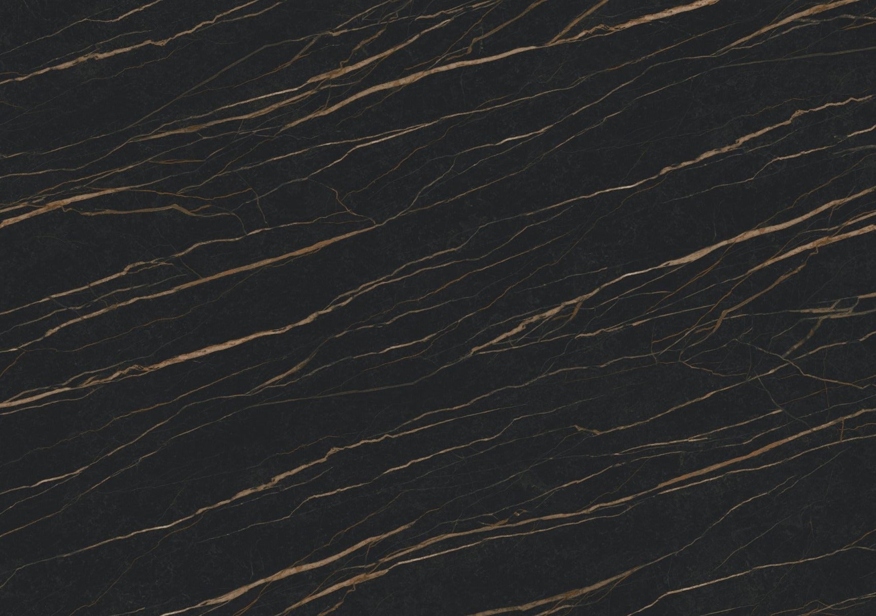 Ascale - Laurent Black