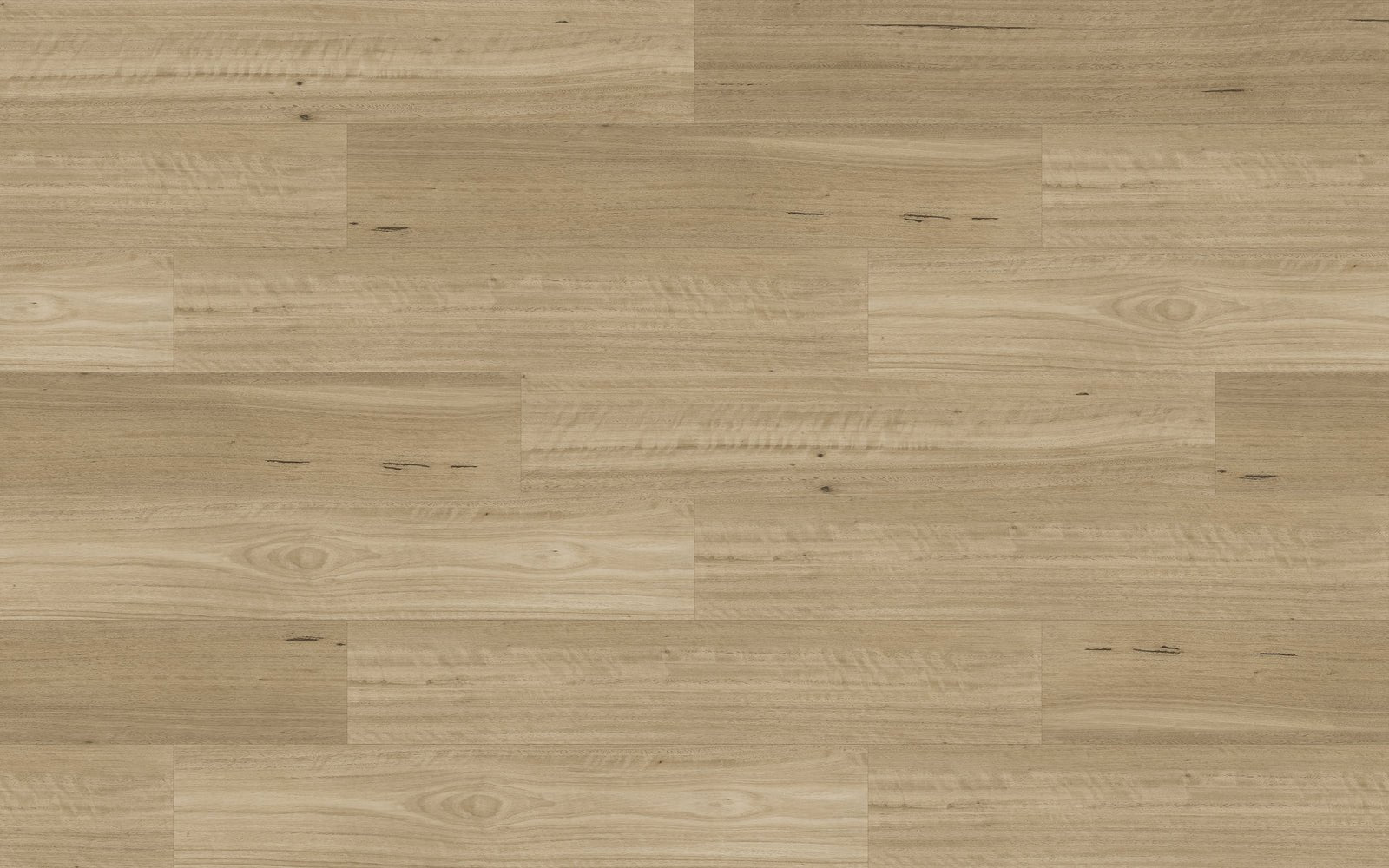 Natural Creations Longplank - Lemon Scented Gum