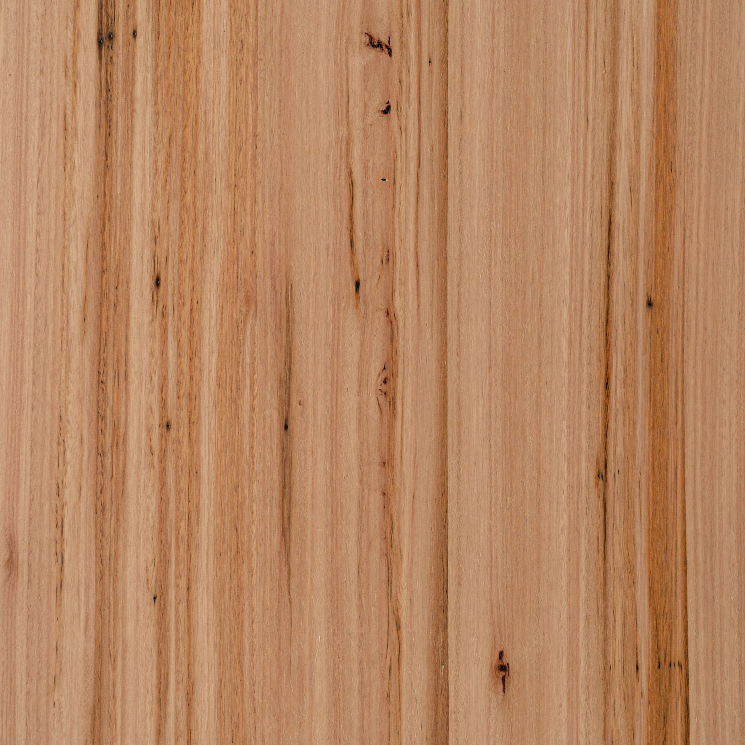 Blackbutt High Feature