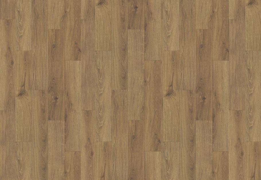 Timberline Plus - Luci Plus