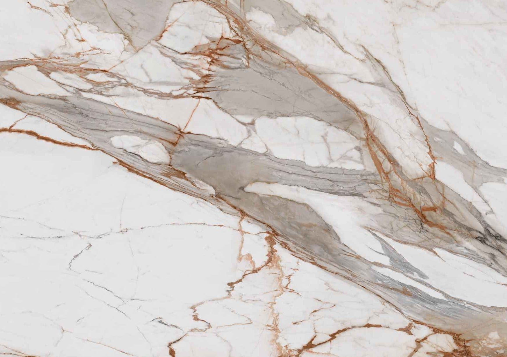 Ascale - Macchia Vecchia Gold