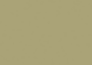 Chroma Minze