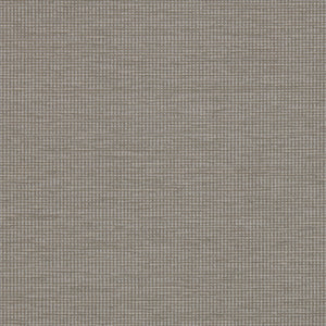 Gust - 001 Bongo