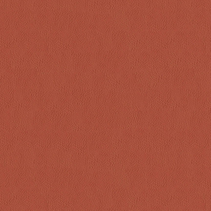 Lariat - 031 Auburn