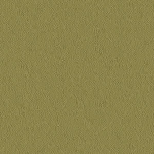 Lariat - 038 Reptile