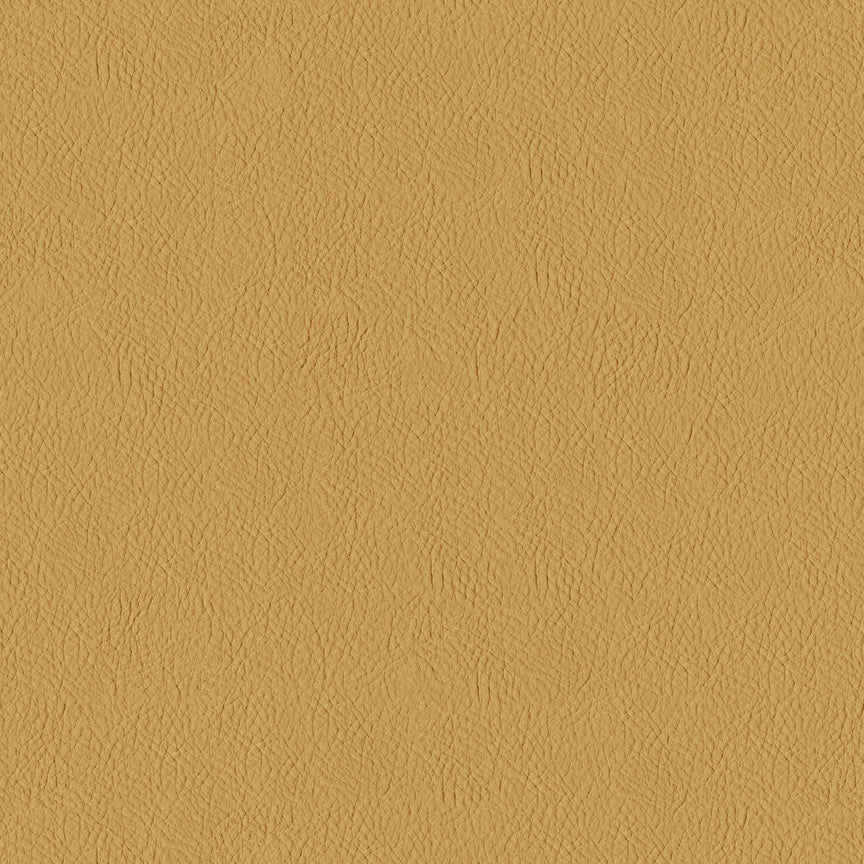 Lariat - 041 Stella