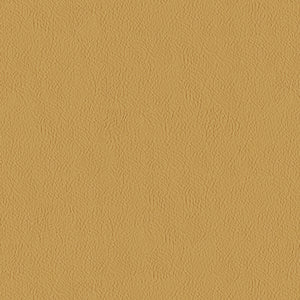 Lariat - 041 Stella