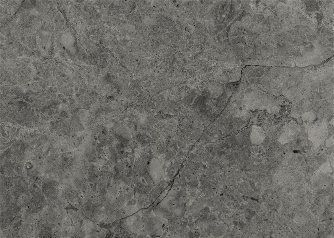 Pietra Nautica Limestone