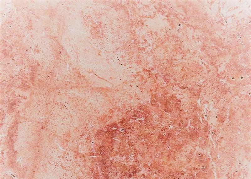 Flamingo Pink Travertine