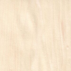 Maple Veneer sample