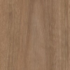 Spotted Gum