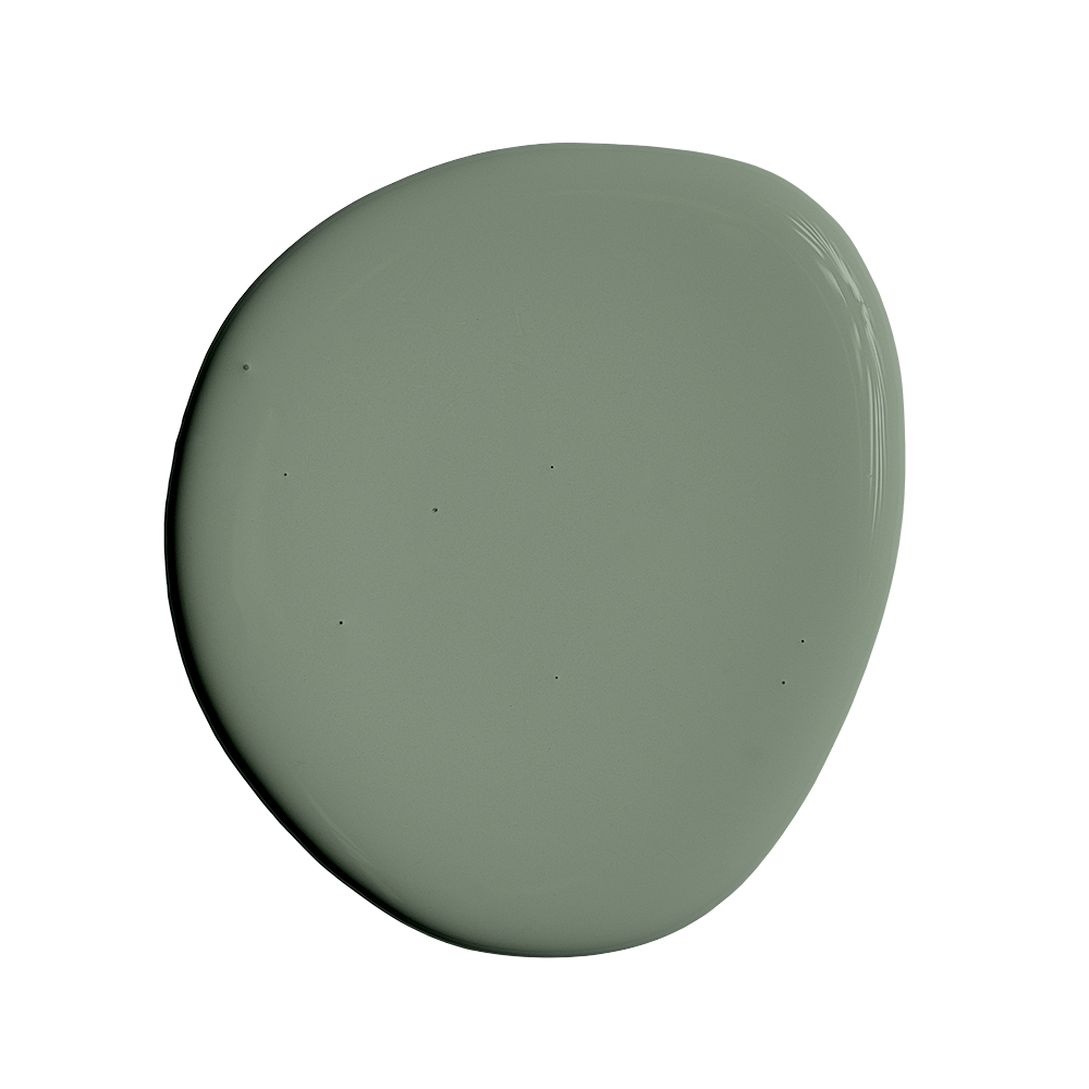 Proxima B