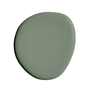 Proxima B