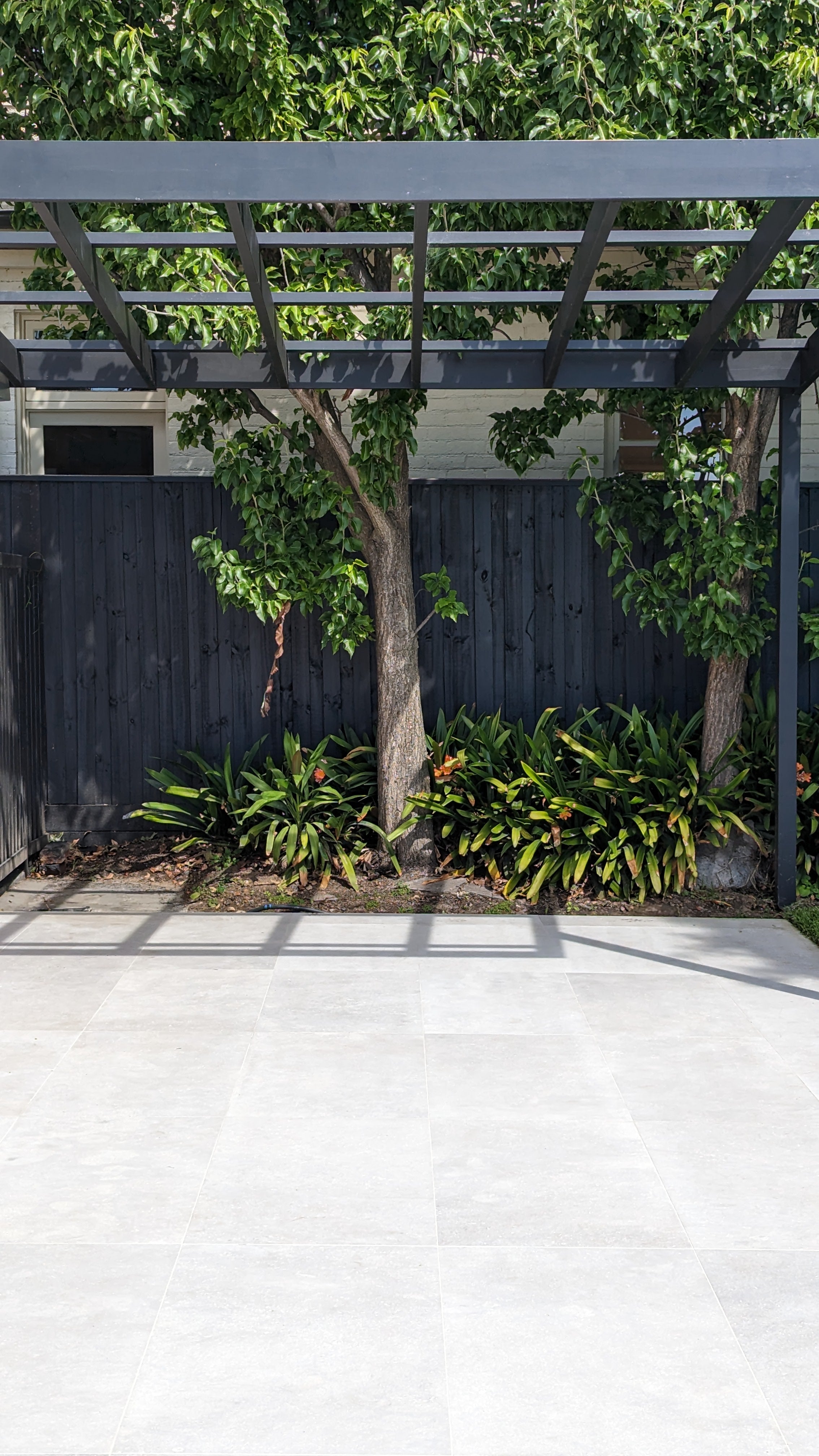 Tallin Grey Limestone