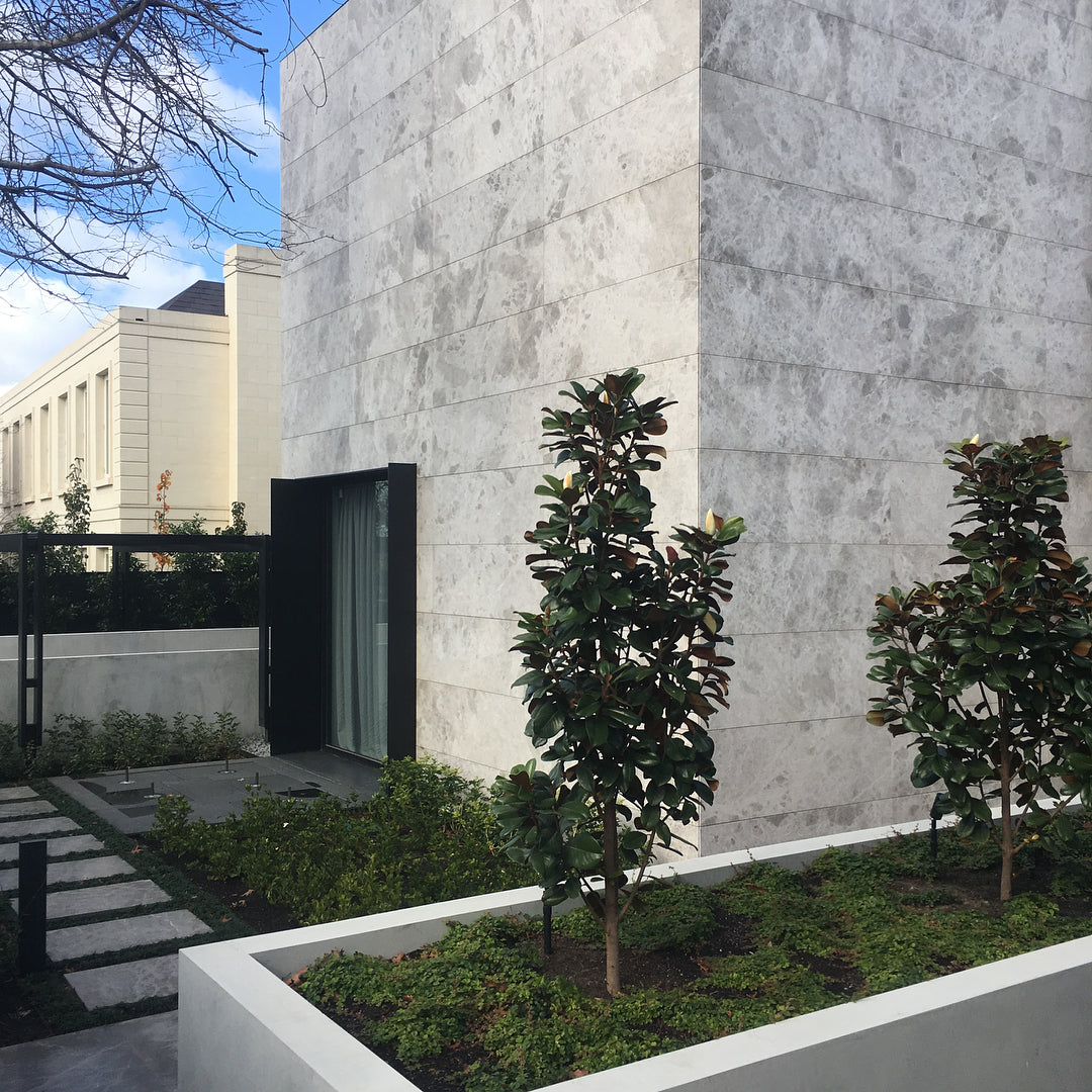 Turko Argento Limestone