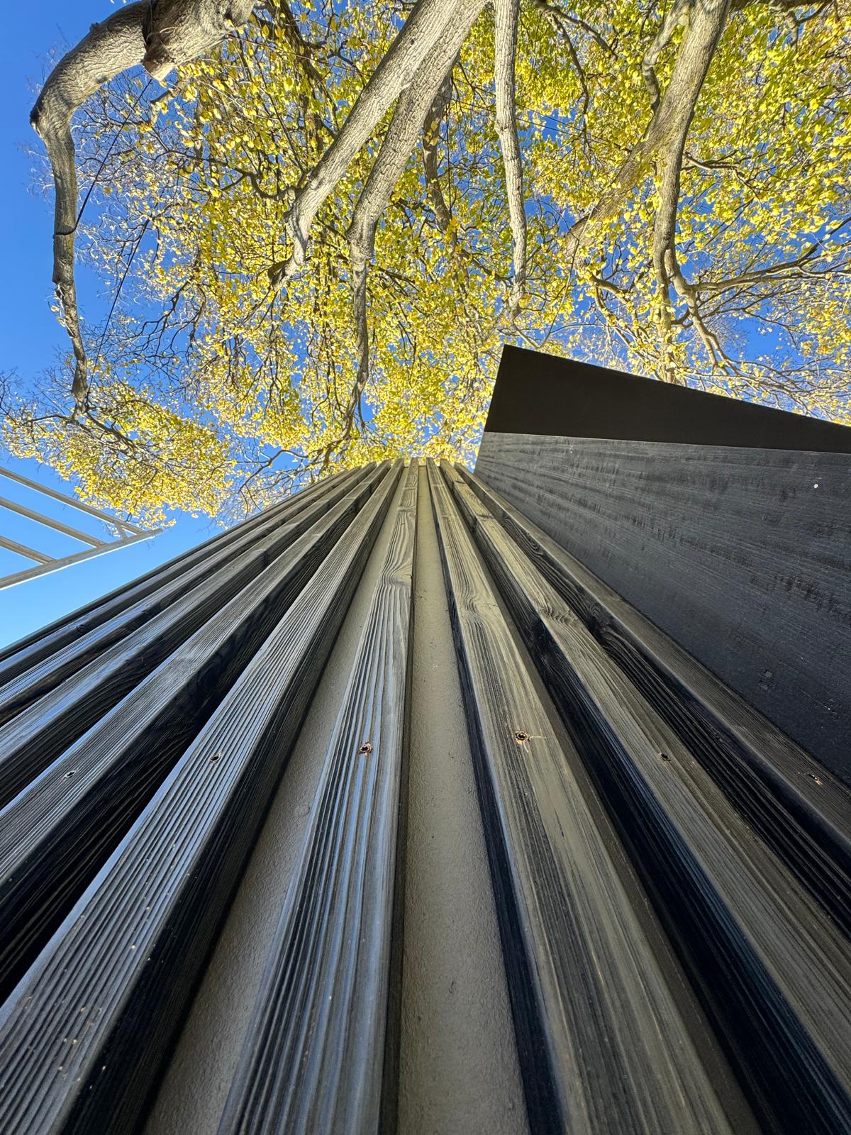 Thermory Spruce Screening Intense - Natural D4 66x42