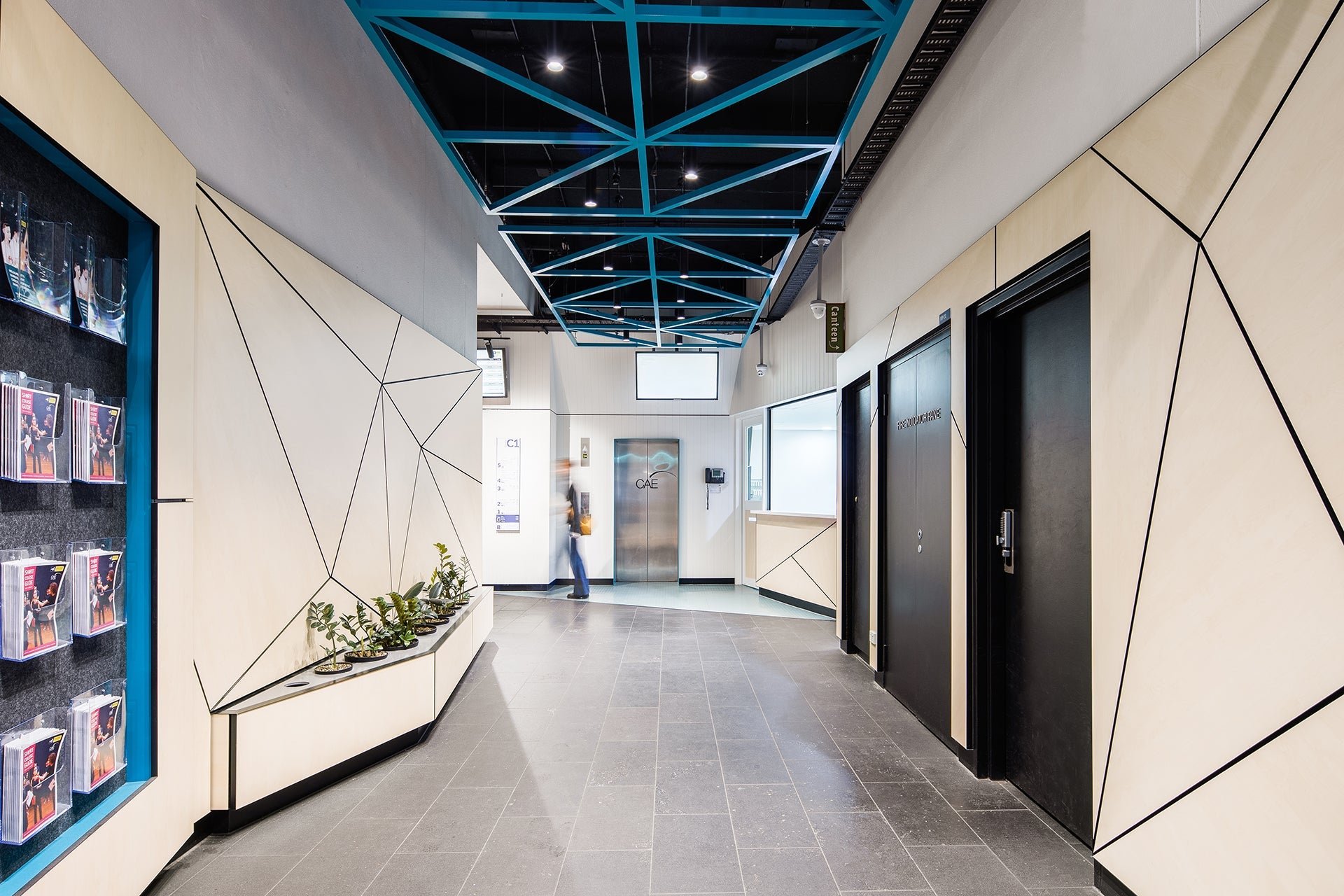 Mainau Birch H1733 ST9