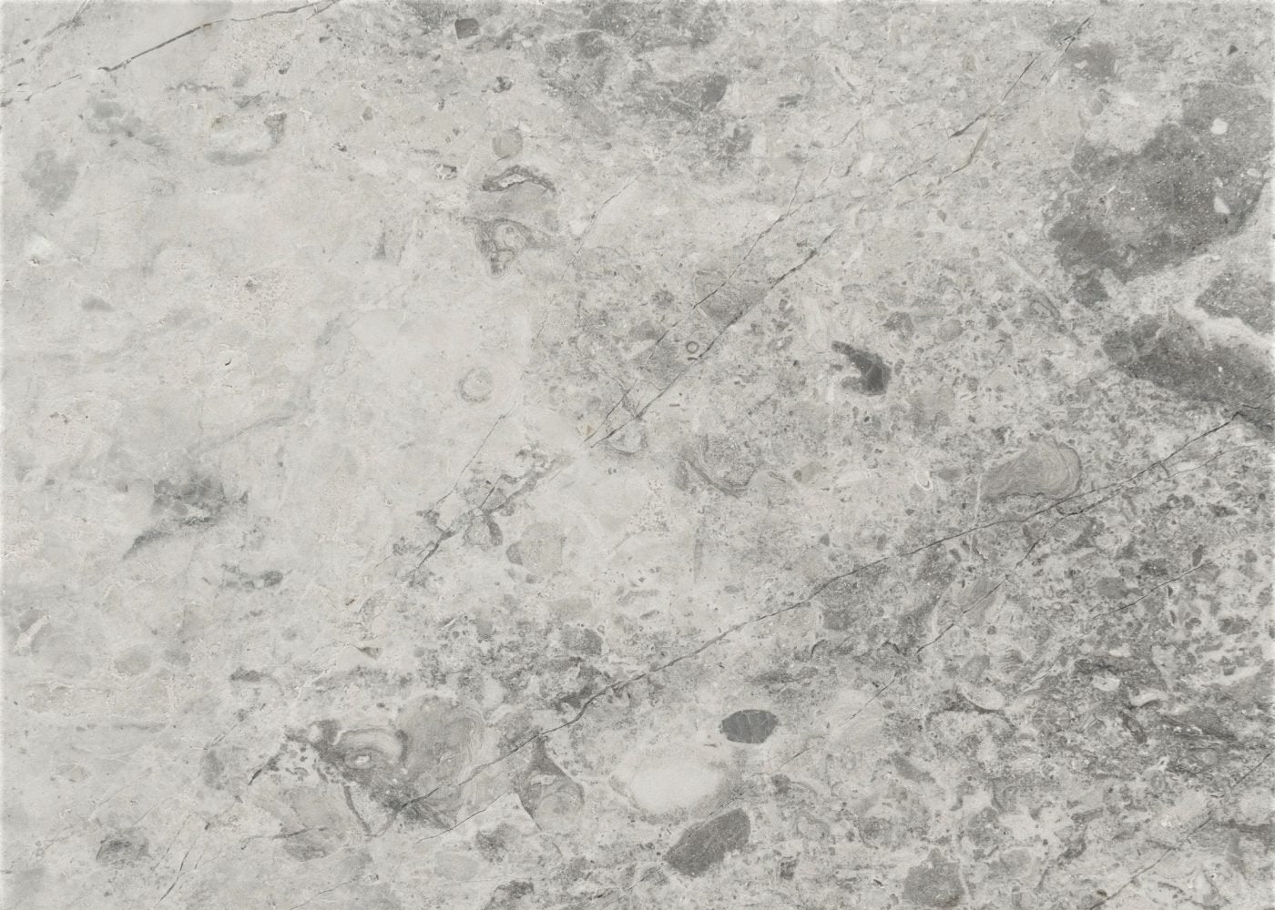 Tundra Grey Honed Limestone