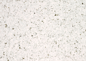 Accolade Plus - Spice White