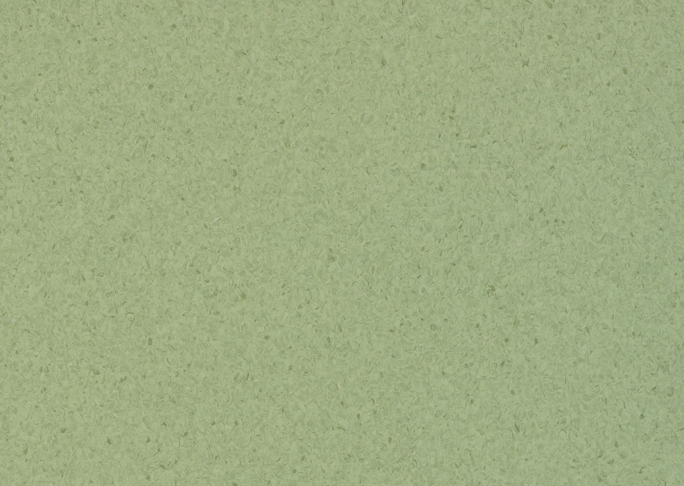 Accolade Plus - Huon Pine