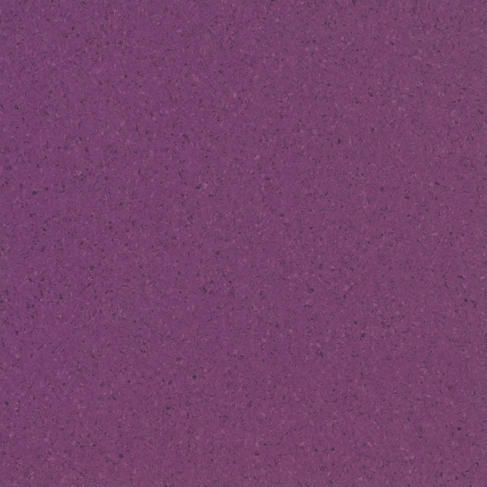 Accolade Plus - Riverina Plum