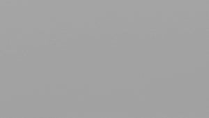 Surround - Greyish Base