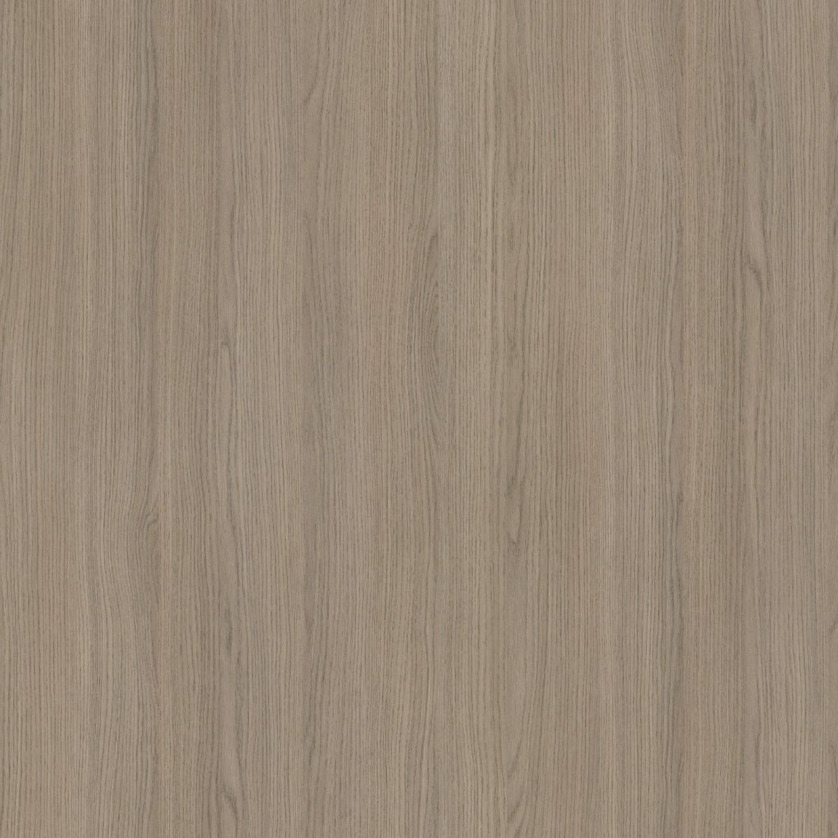 Grey Vicenza Oak H3158 ST19