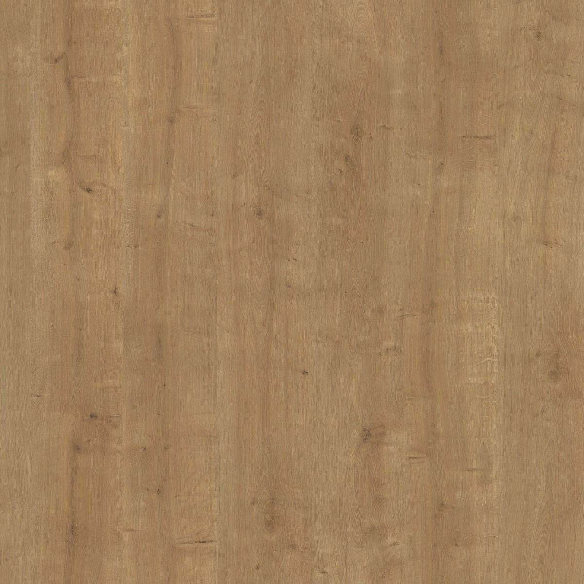 Natural Hamilton Oak H3303 ST10