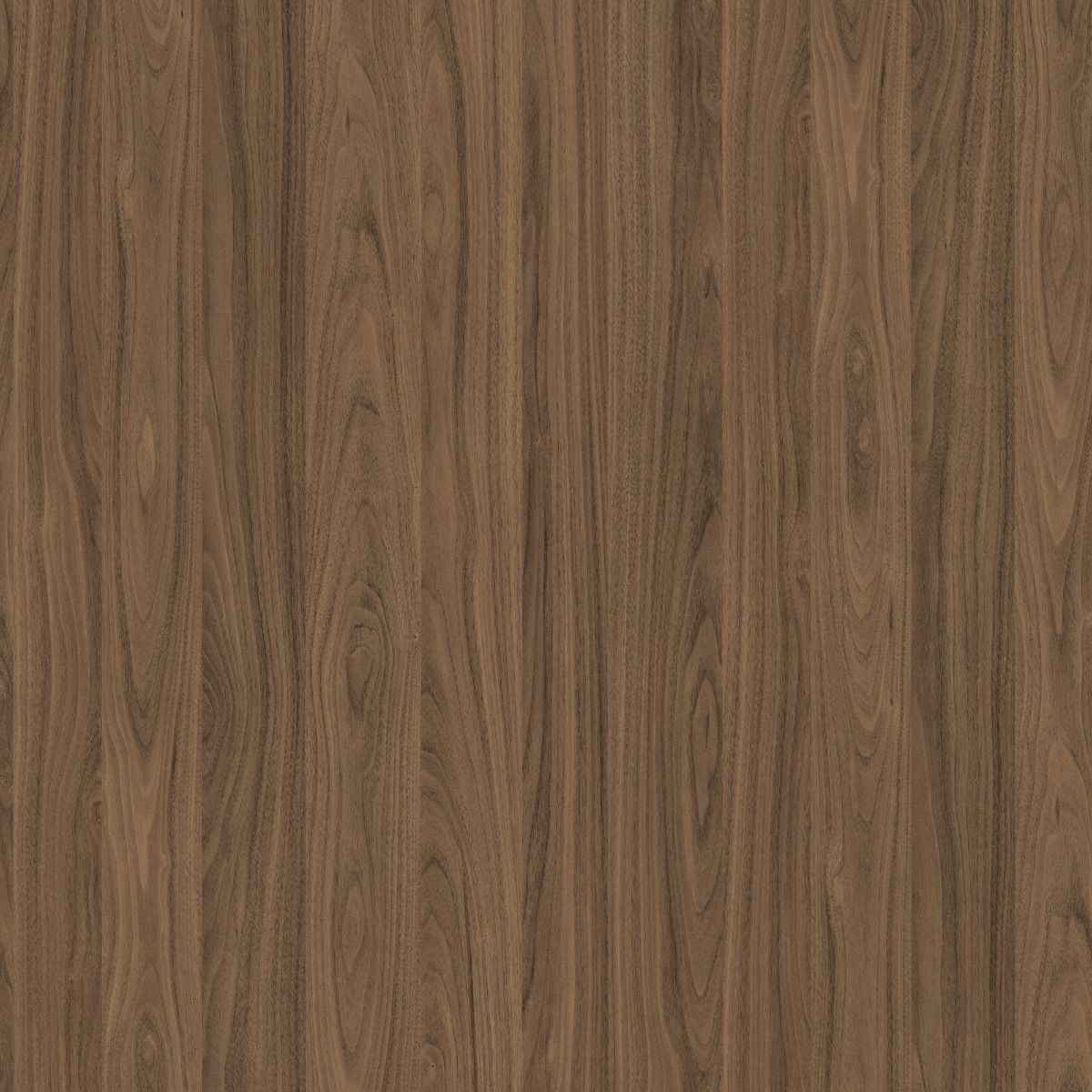 Natural Carini Walnut H3710 ST12