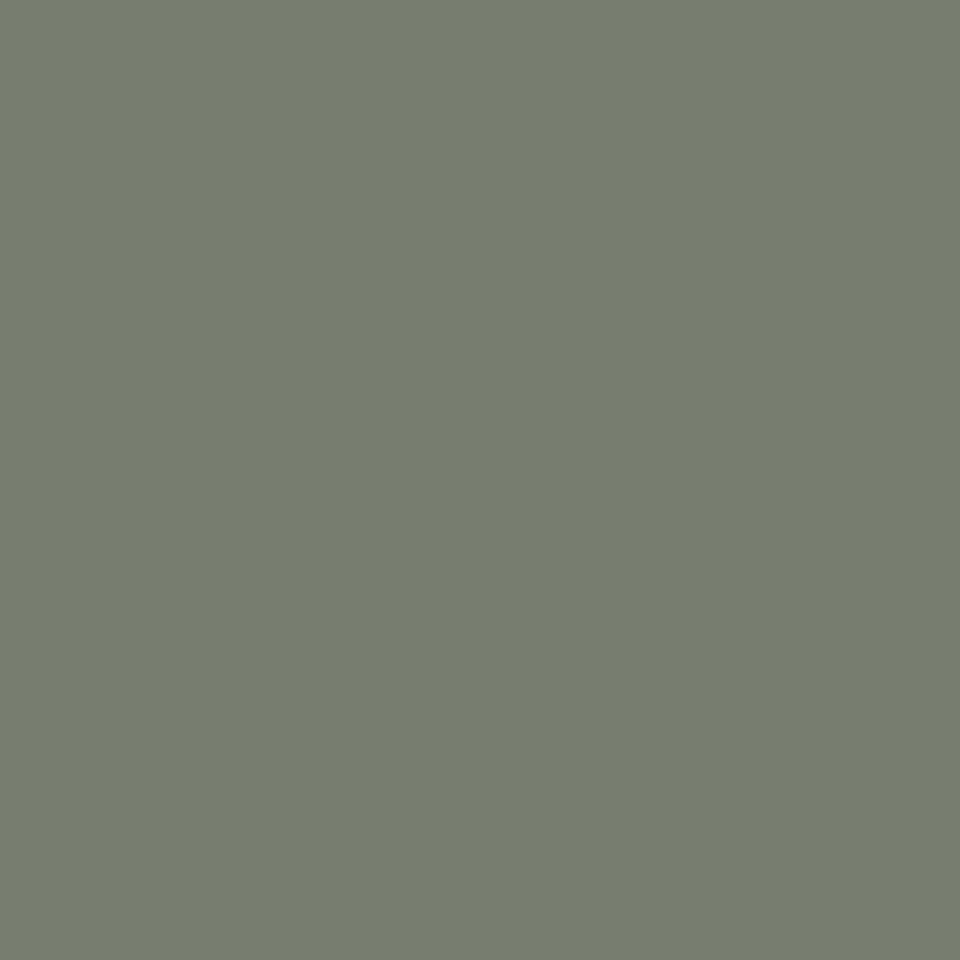 Venette Oasis Paint sample