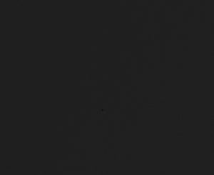 460 Black Silk