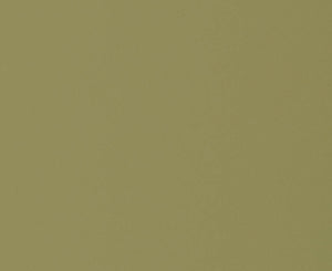 161 Olivine Natural