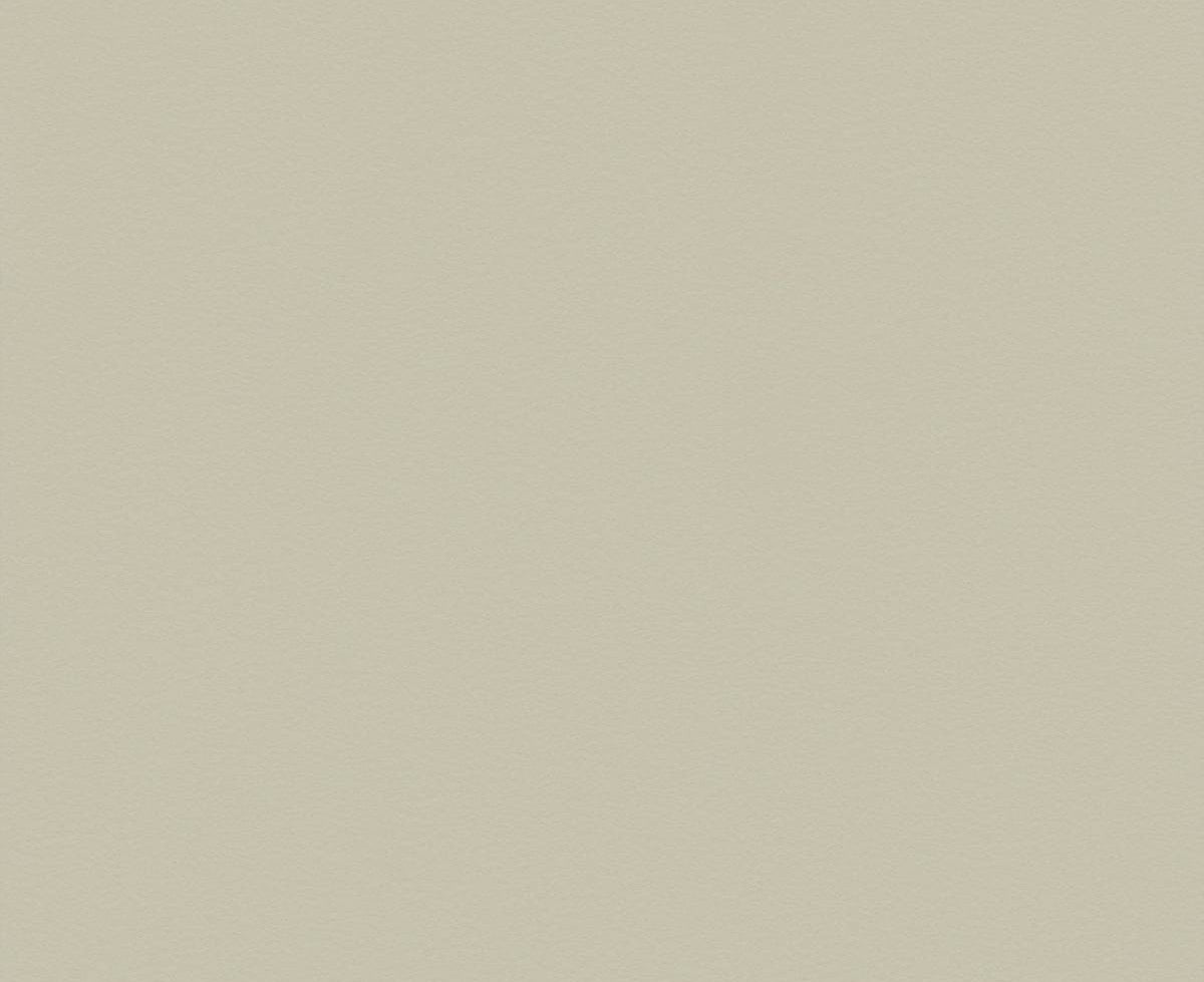325 Chamois Flint