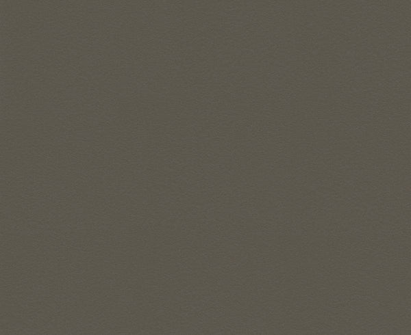 463 Fossil Flint – Simple Sample - Free Samples for A&D Professionals