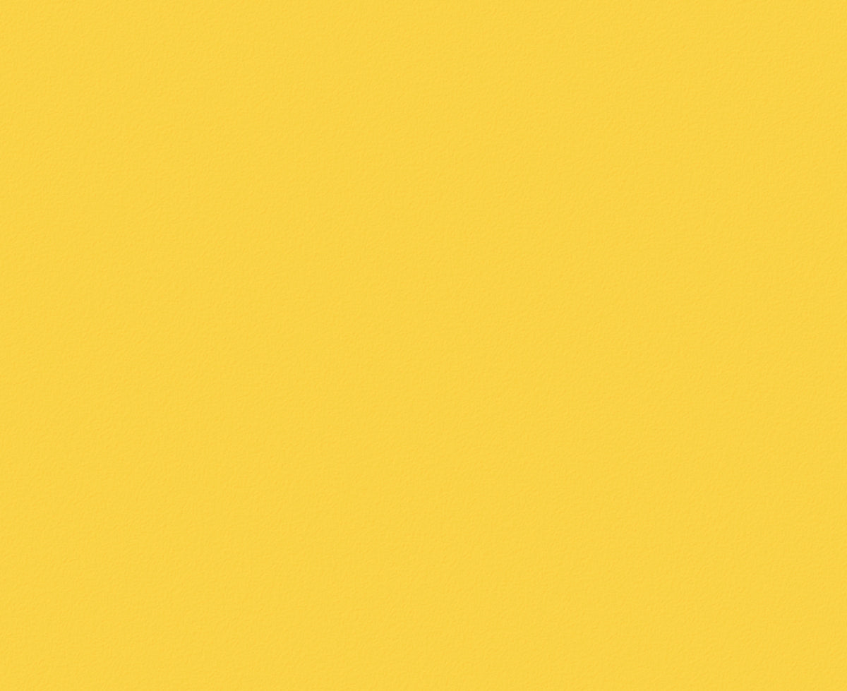 1033 Golden Wattle Flint