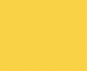 1033 Golden Wattle Natural