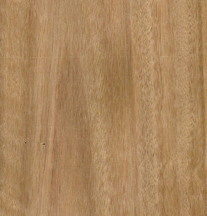 Blackbutt - Crown Cut