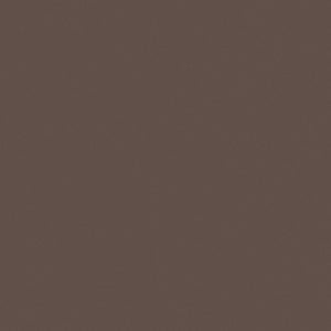Truffle Brown U748 ST9